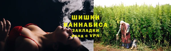 ECSTASY Богородицк